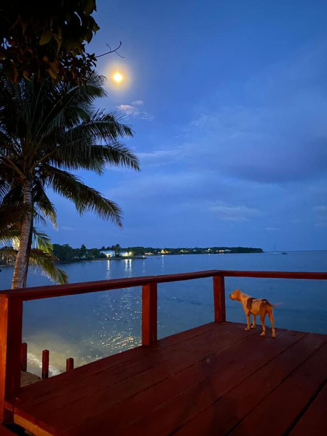 Las Palmeras Oceanview Hotel And Dive Center Little Corn Island Exterior photo