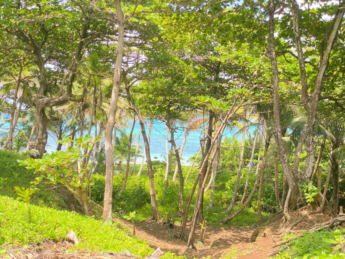 Las Palmeras Oceanview Hotel And Dive Center Little Corn Island Exterior photo