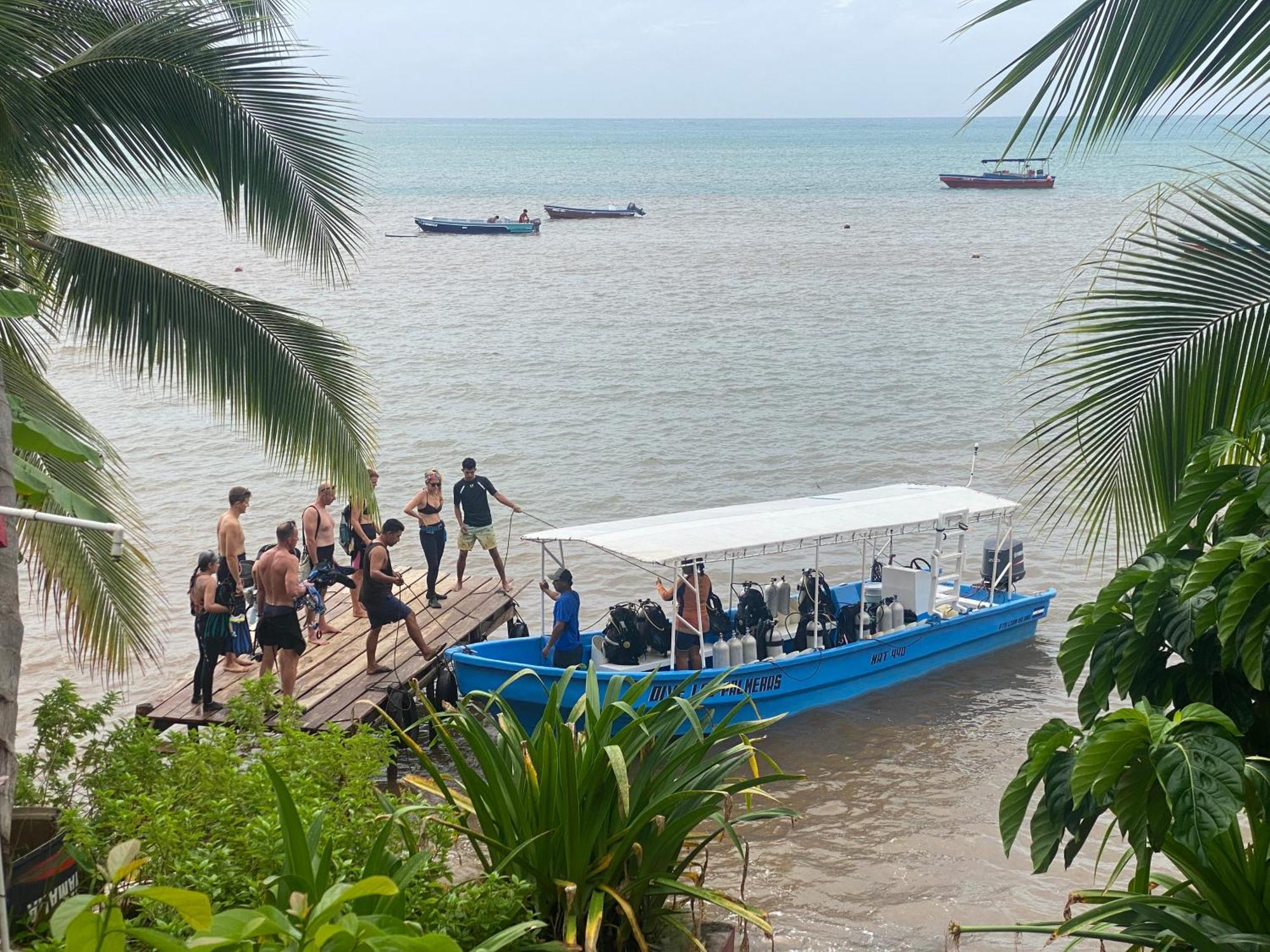Las Palmeras Oceanview Hotel And Dive Center Little Corn Island Exterior photo